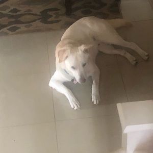 Meet your Posher, Angelina